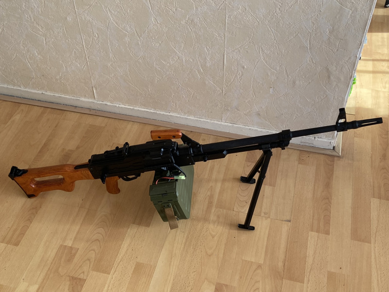 Andy, Zaandam Andy, Zaandam