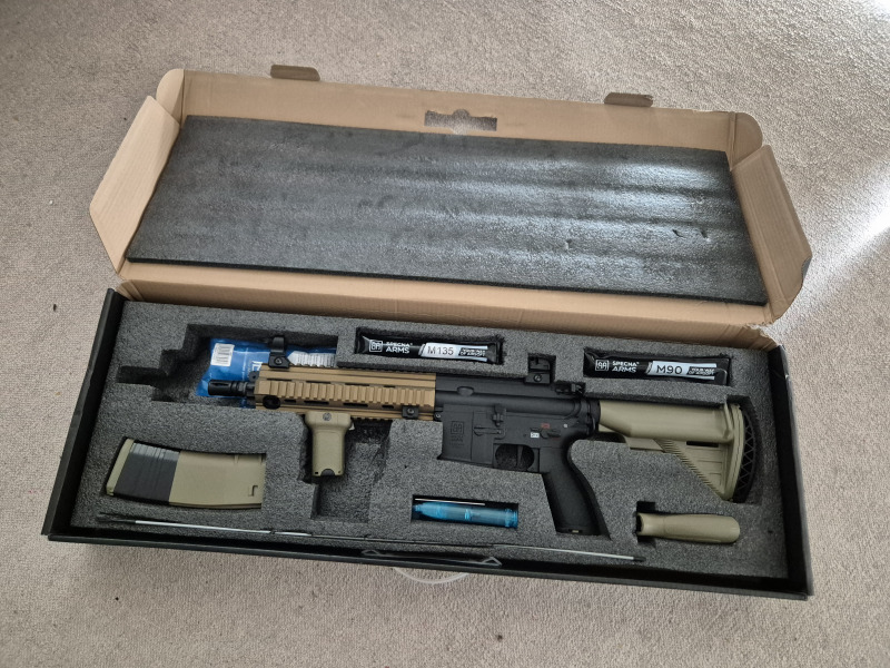 Francisco, Koksijde Francisco, Koksijde