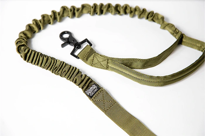 smycz Zazaur dla psa