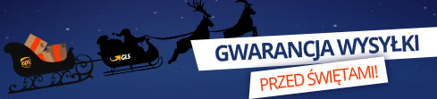 Gwarancja wysyłki przed świętami