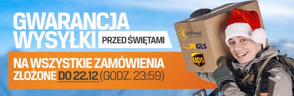 Gwarancja wysyłki przed Świętami!