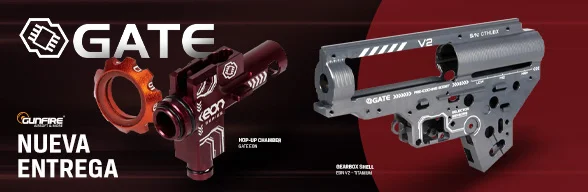 Nueva entrega - Gate