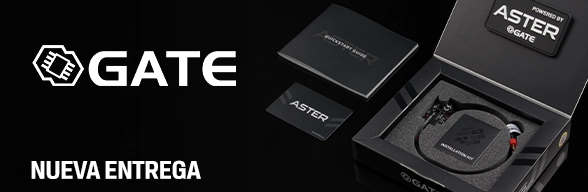 GATE - nueva entrega