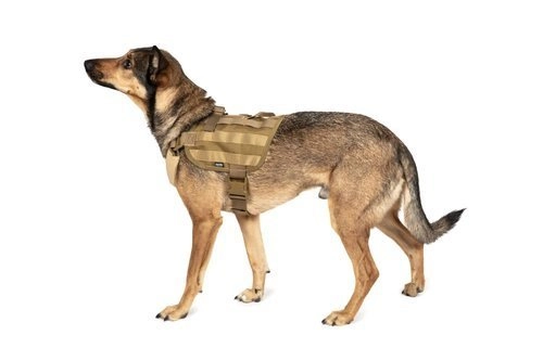 Light dog harness - tan