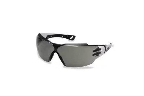 Gafas de protección Pheos CX2 - tintado (9198.237)