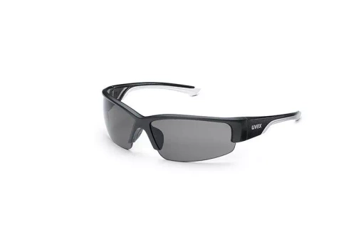 Lunettes de protection UVEX Polavision 9231.960