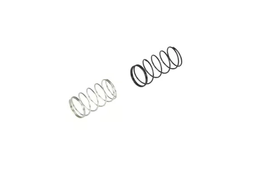 Set of 2 Nozzle Valve Springs