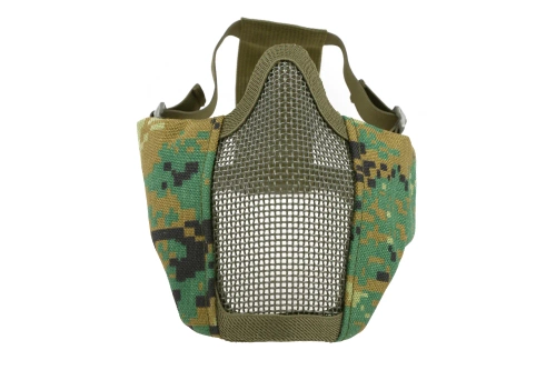 Stalker Evo mask - AOR2