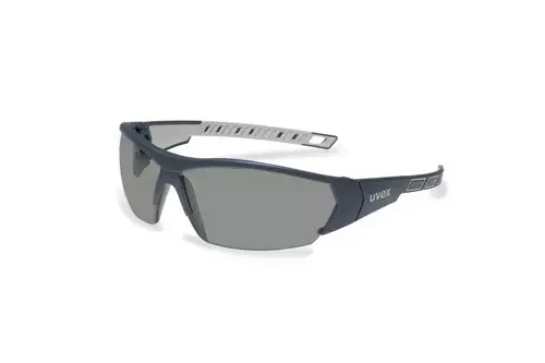 Gafas de protección i-Works - Tintado (9194.270)