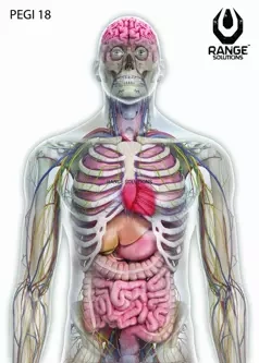 Tarcze Strzeleckie RS-Pegi18 - 500 szt.