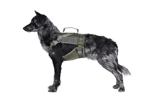 Tactical Dog Harness - Ranger Green